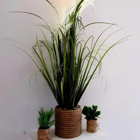 Restaurant L'escale Отель 3*